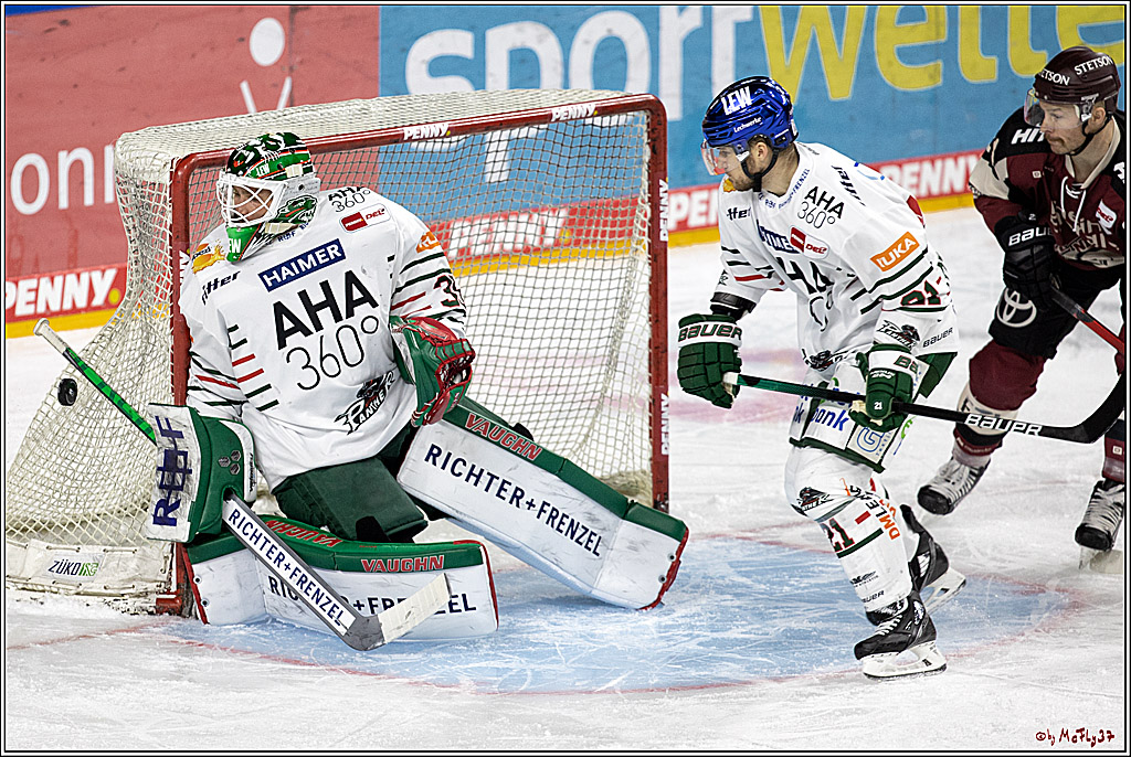 PENNY DEL;  Koelner Haie - Augsburger Panther; Koeln, 05.04.2021